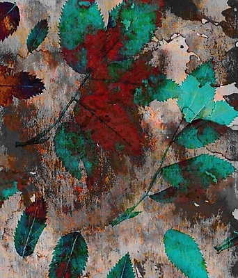 포토 JPG 해외이미지 디자인 꽃 백그라운드 잎 꽃무늬 자연 추상 수채화 건조 미술 사람없음 그래픽 장식 책 빨간색 축제 페인트 회색 가을 큼 그림 질감 에메랄드 공상 내추럴 섞기 엘리먼트 짜기 핸드메이드 스타일 효과 해외202004 해외포토 식물 계절 컬러 무늬 모션 문화예술 크기 보석 생태계 파일형식 이미지허브