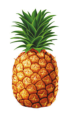 포토 JPG 해외이미지 식물 리플렛 잎 채소 오렌지 일러스트 자연 건강 경사 사람없음 초록색 빛 노란색 주스 수확 신선 칼날 닫기 결과 레몬 파인애플 건강식 내추럴 고립 광 사실 진실 해외202004 해외포토 음료 음식 컬러 컨셉 농업 과일 모션 열대과일 생태계 파일형식 이미지허브