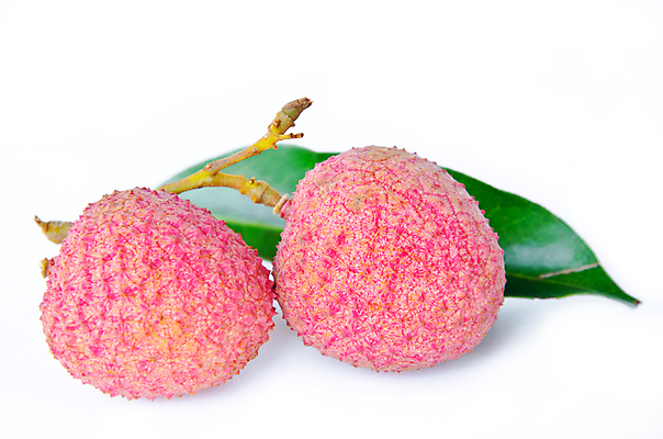 포토 JPG 해외이미지 잎 실내 사람없음 열대과일 흰배경 리치 해외202004 해외포토 식물 백그라운드 과일 내부 흰색 파일형식 이미지허브