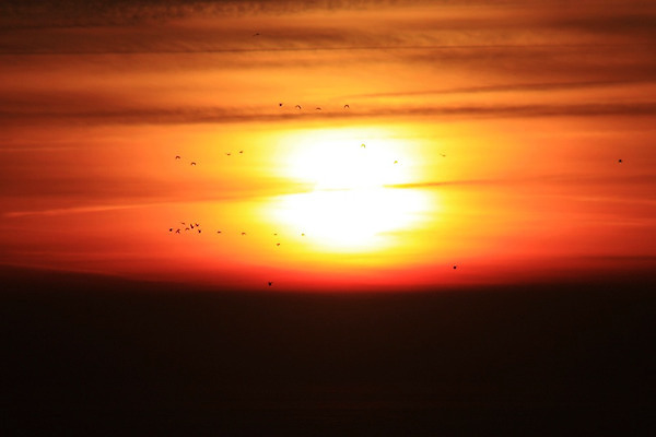 포토 JPG 해외이미지 호수 파도 바다 백그라운드 패턴 자연 벽지 하늘 표면 추상 불꽃 사람없음 물 여름 파란색 빛 반짝임 강 태양 반사 검은색 어둠 일몰 젖음 흰색 액체 소프트포커스 질감 폭풍 광 블러 잔물결 폭풍우 해외202004 해외포토 자연요소 계절 물결 컬러 무늬 모션 불 날씨 촬영기법 노을 비_날씨 자연재해 생태계 파일형식 이미지허브