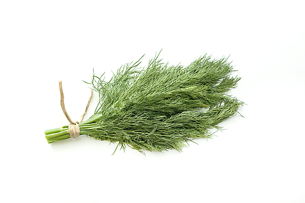 포토 JPG 해외이미지 식물 음식 줄기 백그라운드 잎 농업 채소 건강 요리 사람없음 초록색 주방 정원 흰색 나뭇가지 신선 양념 조미료 맛 다발 허브 향신료 내추럴 고립 딜 회향 그리너리 해외202004 해외포토 나무 산업 컬러 컨셉 향미료 파일형식 트랜드컬러 이미지허브