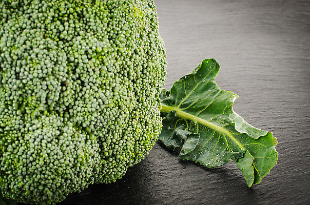 포토 JPG 해외이미지 포스터 음식 백그라운드 컨셉 농업 다이어트 채소 텍스트 자연 탁자 건강 요리 사람없음 초록색 농작물 농장 우주 주방 식당 검은색 칠판 어둠 수확 시골 신선 시장 농부 상품 브로콜리 메뉴 분필 에코 유기농 날것 내추럴 구성 채식주의자 비건 해외202004 해외포토 직업 웰빙 산업 컬러 가구 환경 상점 초크 생태계 채식 파일형식 이미지허브