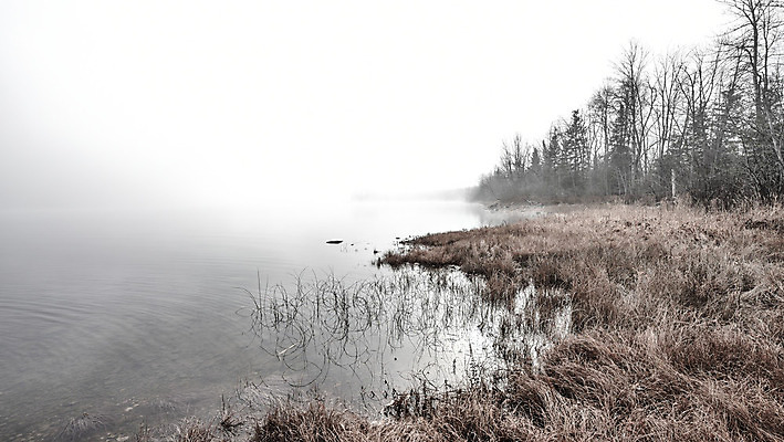 포토 JPG 해외이미지 나무 계절 자연 아침 사람없음 야외 물 햇빛 태양 어둠 회색 젖음 촉촉함 추위 안개 가을 바위 신선 가장자리 숲 시원함 11월 속도 암초 내추럴 뿌연 해외202004 해외포토 주간 자연요소 식물 컬러 날씨 돌_바위 날짜 둘레 생태계 파일형식 이미지허브