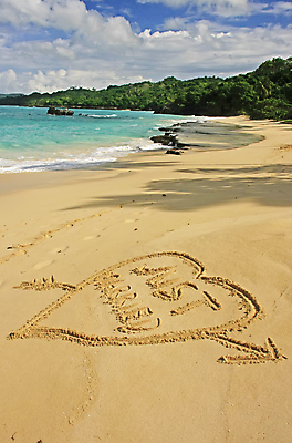 포토 JPG 해외이미지 나무 커플 기념일 모래 바다 섬 여행 결혼 컨셉 텍스트 결혼식 발렌타인데이 손바닥 사랑 사람없음 단어 모래사장 기댐 꿈 신혼여행 하트 축하 만 떨어짐 사인 그림 암초 대서양 공화국 터키석 파라다이스 해외202004 해외포토 모양 식물 문자 손 감정 나라 관계 모션 데이이벤트 이벤트 보석 파일형식 이미지허브