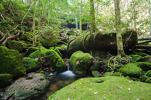 포토 JPG 해외이미지 나무 식물 공원 백그라운드 잎 모션 태국 자연 휴가 휴식 풍경 사람없음 목재 초록색 물 강 놀람 봄 활발 폭포 젖음 흐름 성장 가을 신선 개울 숲 시원함 순수 즐거움 천국 이국적 파라다이스 해외202004 해외포토 자연요소 계절 공공시설 감정 아시아 컬러 컨셉 재료 표정 생태계 파일형식 이미지허브