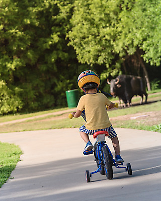 포토 JPG 해외이미지 공원 도로 어린이 스포츠 포즈 자연 건강 안전 동양인 소년 사람없음 야외 운동 자전거 미국 시골 바퀴 승차 숲 헬멧 작음 오솔길 속도 순환 사이클링 내추럴 걸음마 바이킹 선로 콘크리트 텍사스 해외202004 해외포토 공공시설 남자 길 북아메리카 교통시설 모션 사람 인종 바이크 보호장비 크기 육상스포츠 생태계 파일형식 이미지허브