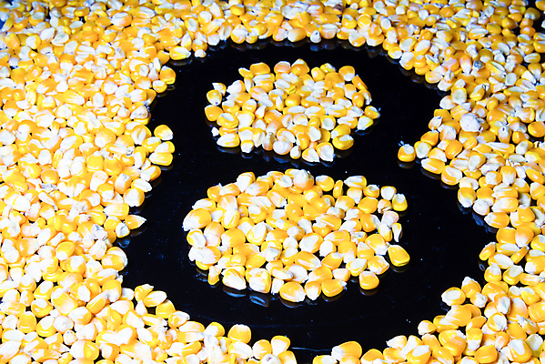 포토 JPG 해외이미지 음식 채소 건조 옥수수 씨앗 사람없음 목재 바구니 검은색 침묵 사발 생식 팝 해외202004 해외포토 나무 식물 컬러 재료 곡류 소리 사기그릇 파일형식 이미지허브