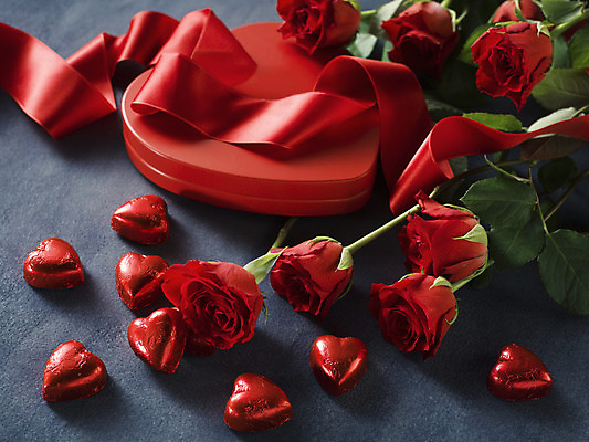 포토 JPG 해외이미지 리본 회색배경 발렌타인데이 사람없음 빨간색 선물상자 하이앵글 장미 초콜릿 하트 오브젝트 해외포토 모양 꽃 뷰포인트 컬러 백그라운드 데이이벤트 디저트 선물 상자 회색 파일형식 이미지허브