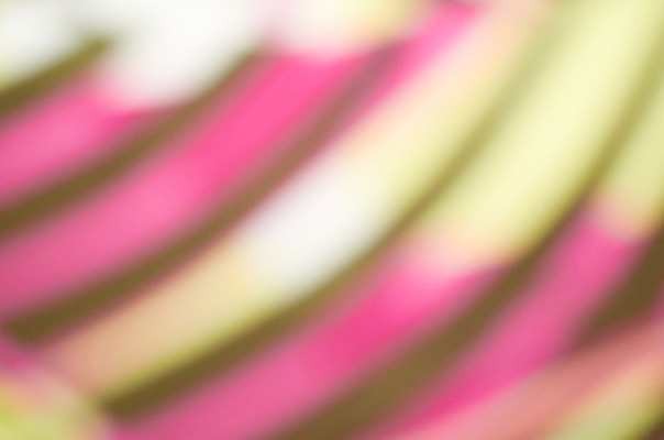 포토 JPG 해외이미지 모양 디자인 백그라운드 패턴 일러스트 모션 추상 휴가 조명 기념 미술 사람없음 아웃포커스 그래픽 장식 빛 컬러풀 파티 축제 줄무늬 축하 소프트포커스 질감 보케 네온 공상 마법 빛망울 대각선 광 엘리먼트 효과 해외202004 해외포토 선 컬러 컨셉 무늬 문화예술 촬영기법 이벤트 파일형식 이미지허브