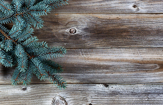 포토 JPG 해외이미지 나무 전통 계절 백그라운드 크리스마스 자연 휴가 사람없음 목재 가로 초록색 평화 축제 수확 나뭇가지 시골 축하 소나무 12월 오브젝트 카피스페이스 해외202004 해외포토 식물 기념일 컬러 컨셉 농업 재료 공백 날짜 생태계 파일형식 이미지허브