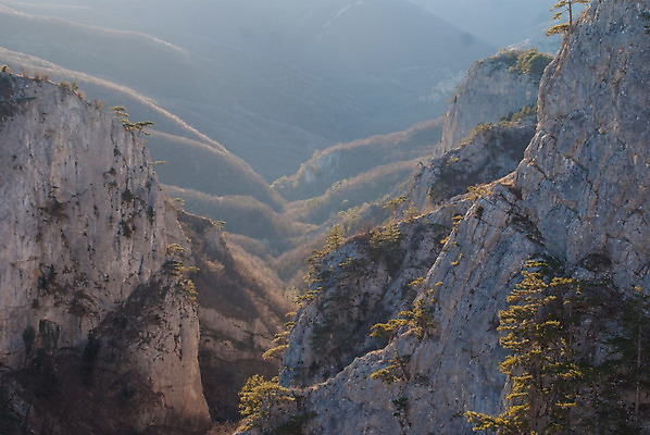 포토 JPG 해외이미지 나무 구름 공원 여행 자연 하늘 아침 산 건조 따뜻함 풍경 사람없음 빨간색 초록색 여름 파란색 일출 골짜기 계곡 미국 황혼 일몰 새벽 하이킹 사막 시골 뜨거움 황무지 정상 언덕 먼지 멀리 내추럴 라스베가스 지질학 해외202004 해외포토 주간 자연요소 식물 계절 공공시설 교육 컬러 북아메리카 레저 노을 생태계 파일형식 이미지허브