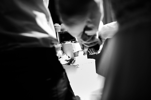 포토 JPG 해외이미지 손 커플 드레스 꽃 음식 분홍색 결혼 백그라운드 꽃무늬 탁자 결혼식 디저트 사랑 사람 이벤트 사람없음 장식 초록색 장미 파티 케이크 초콜릿 보라색 흰색 축하 고급 달콤 맛 크림 해외202004 해외포토 식물 옷 감정 컬러 가구 컨셉 무늬 관계 신체부위 파일형식 이미지허브