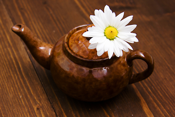 포토 JPG 해외이미지 식물 전통 꽃잎 꽃 음료 음식 백그라운드 꽃무늬 자연 유리 탁자 휴식 건강 사람없음 목재 컵 초록색 갈색 노란색 침묵 머그컵 벚꽃 흰색 신선 뜨거움 개화 황금 맛 아침식사 찻주전자 허브 오브젝트 상쾌 유기농 데이지 아로마 향 아로마테라피 내추럴 고립 캐모마일 해외202004 해외포토 나무 식기 웰빙 감정 컬러 가구 컨셉 무늬 재료 재질 주전자 식사 소리 생태계 테라피 파일형식 이미지허브