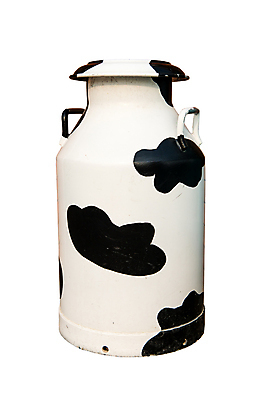 포토 JPG 해외이미지 전통 문화 밭 농업 벤치 포유류 통 손잡이 사람없음 야외 목재 빨간색 초록색 농장 펜 노란색 금속 우유 수확 골동품 조끼 항아리 액체 소 역사 캔 은색 냄비 큼 먹이 컨테이너 양동이 부식 복고 수납 통조림 밭일 옛날 철강 해외202004 해외포토 나무 동물 산업 컬러 의자 재료 재질 유제품 필기구 외투 도자기 솥 크기 파일형식 이미지허브