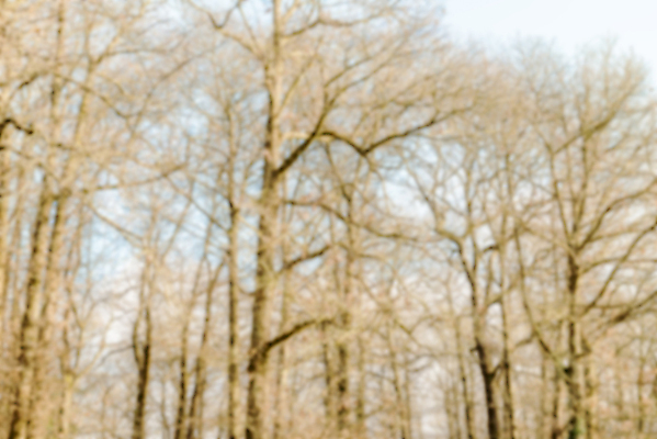 포토 JPG 해외이미지 나무 구름 계절 유럽 자연 하늘 산 안테나 풍경 사람없음 파란색 빛 가을 시골 소프트포커스 숲 언덕 보케 해외202004 해외포토 자연요소 식물 나라 컬러 통신 촬영기법 생태계 파일형식 이미지허브