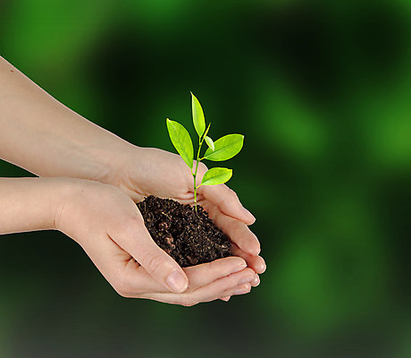 포토 JPG 해외이미지 나무 식물 손 여자 지구 컨셉 잎 농업 자연 귤 선물 사람 사람없음 초록색 새싹 환경 흙 성장 보호 농부 생물학 개발 모종 밭일 생태학 심기 해외202004 해외포토 직업 교육 산업 컬러 과일 모션 신체부위 생태계 파일형식 이미지허브