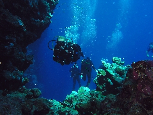 포토 JPG 해외이미지 전신 성인 세명 바닷속 수중 스노클링 산호 잠수부 암초 성인만 해외202004 해외포토 사람 수상스포츠 자포동물 전문직 파일형식 이미지허브
