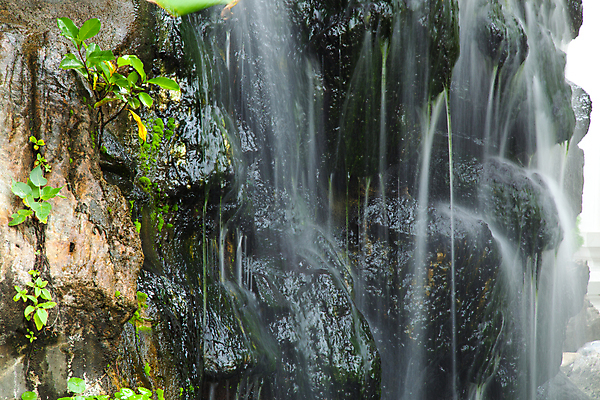 포토 JPG 해외이미지 나무 식물 공원 여행 백그라운드 잎 모션 자연 휴식 풍경 사람없음 야외 목재 물 여름 평화 정원 침묵 폭포 흐름 가을 바위 연못 신선 개울 떨어짐 시원함 당구 속도 장면 내추럴 해외202004 해외포토 자연요소 계절 공공시설 컨셉 재료 강 구기 소리 돌_바위 생태계 파일형식 이미지허브