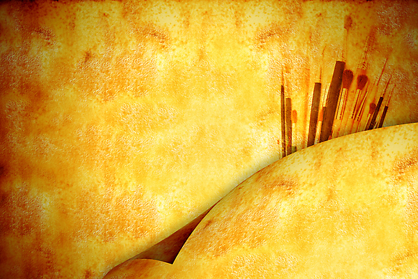 포토 JPG 해외이미지 템플릿 교육 종이 백그라운드 패턴 학교 벽지 추상 아이디어 프레임 창조 손잡이 미술 사람없음 라벨 우주 장비 수확 덮개 공구 붓 업무 신용카드 우아함 그림 복고 예술가 페인트붓 화가 양피지 공급 카피스페이스 해외202004 해외포토 직업 컨셉 무늬 농업 문화예술 금융 공백 뚜껑 도구 작업 파일형식 이미지허브