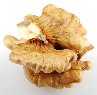 포토 JPG 해외이미지 계절 음식 백그라운드 다이어트 과일 재료 자연 건조 건강 사람없음 갈색 견과류 껍질 흰색 오픈 주름 뇌 호두 내추럴 고립 식용 해외202004 해외포토 컬러 생태계 파일형식 이미지허브