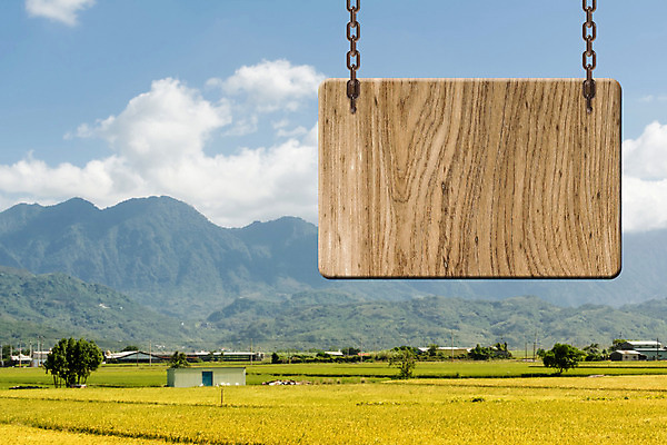 포토 JPG 해외이미지 식물 구름 배너 백그라운드 컨셉 농업 자연 하늘 밥 풍경 사람없음 야외 목재 파란색 농작물 농장 노란색 우주 마을 환경 고요 공백 수확 시골 메시지 널 땅 사인 내추럴 논밭 평야 카피스페이스 해외202004 해외포토 자연요소 나무 산업 음식 컬러 밭 재료 논 생태계 파일형식 이미지허브