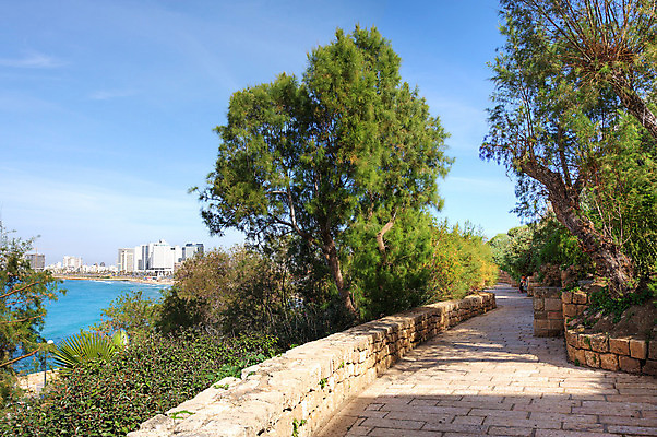 포토 JPG 해외이미지 나무 여행 중동 휴가 풍경 사람없음 건물 여행객 산책로 도시 오솔길 땅 지중해 좁은 옛날 이스라엘 인기 해외202004 해외포토 식물 건축물 나라 길 바다 사람 서아시아 파일형식 이미지허브