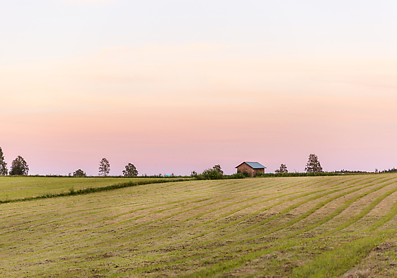 포토 JPG 해외이미지 구름 분홍색 밭 농업 하늘 스웨덴 사람없음 건물 외양간 해외202004 해외포토 자연요소 건축물 산업 컬러 북유럽 파일형식 이미지허브