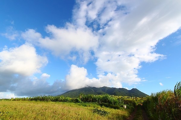 포토 JPG 해외이미지 식물 구름 잎 밭 농업 자연 지팡이 하늘 산 풍경 사람없음 야외 성자 저녁 숲 열대우림 설탕 불행 서식지 내추럴 감탄 생태학 파라다이스 해외202004 해외포토 자연요소 교육 산업 종교 야간 생태계 파일형식 이미지허브
