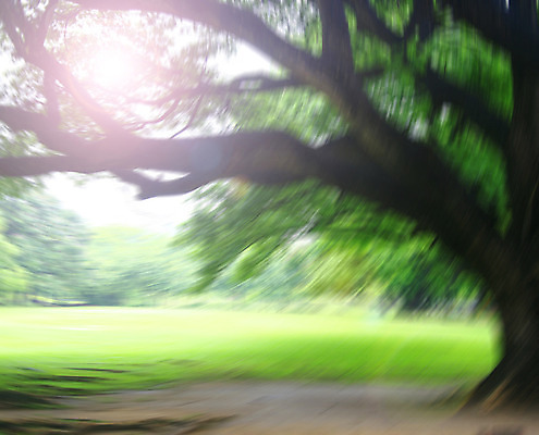 포토 JPG 해외이미지 나무 식물 계절 공원 도로 길 백그라운드 잎 벤치 모션 자연 벽지 불꽃 풍경 잔디 사람없음 야외 목재 초록색 여름 빛 햇빛 태양 평화 환경 정원 맑음 침묵 봄 산책 광선 가을 신선 숲 오솔길 내추럴 방법 블러 그리너리 해외202004 해외포토 자연요소 공공시설 컬러 컨셉 의자 재료 교통시설 불 날씨 휴식 소리 생태계 파일형식 트랜드컬러 이미지허브