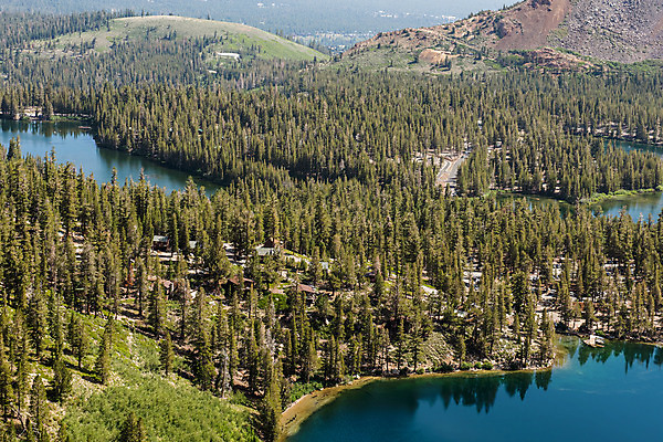 포토 JPG 해외이미지 응시 호수 여행 자연 풍경 사람없음 야외 초록색 물 여름 파란색 하이킹 최고 숲 캘리포니아 대야 멸종위기동물 내추럴 매머드 해외202004 해외포토 자연요소 동물 시선 계절 컬러 레저 미국 생태계 파일형식 멸종위기종 이미지허브
