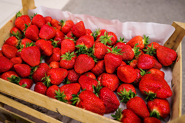 포토 JPG 해외이미지 음식 농업 과일 딸기 사람없음 빨간색 쌓기 봄 신선 닫기 달콤 맛 나무상자 유기농 국산 많음 해외202004 해외포토 웰빙 계절 산업 컬러 컨셉 모션 상자 파일형식 이미지허브