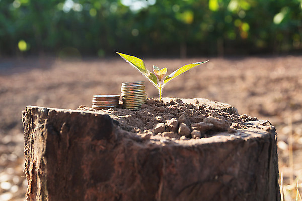 포토 JPG 해외이미지 나무 식물 컨셉 잎 돈 농업 비즈니스 자연 그래프 새로움 씨앗 사람없음 초록색 물 금융 농장 쌓기 새싹 환경 동전 흙 봄 성장 최고 재산 황금 떨어짐 연습 투자 내추럴 돌봄 모종 묘목 소셜 윤리 해외202004 해외포토 자연요소 계절 산업 컬러 모션 경제 생태계 파일형식 이미지허브