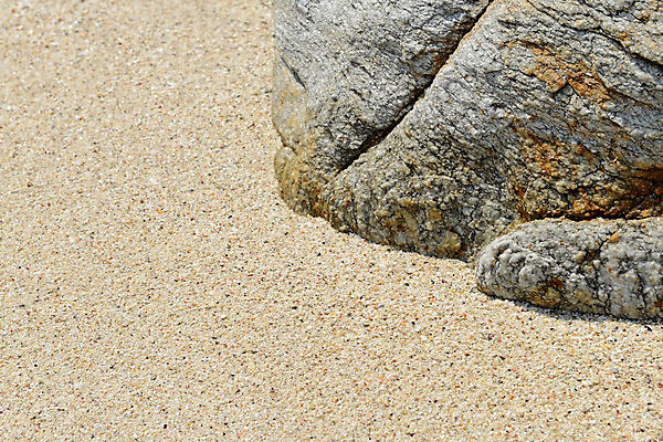 포토 JPG 해외이미지 모래 바다 오렌지 자연 조류 표면 휴가 풍경 사람없음 갈색 환경 회색 젖음 껍질 바위 원형 그룹 매끈함 수집 묘사 질감 내추럴 엘리먼트 해외202004 해외포토 도형 동물 컬러 과일 돌_바위 감각 생태계 파일형식 이미지허브