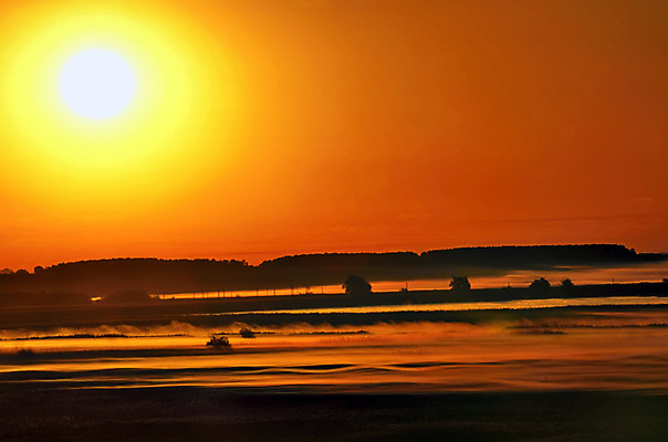 포토 JPG 해외이미지 나무 구름 계절 공원 실루엣 여행 백그라운드 밭 농업 오렌지 자연 하늘 아침 날씨 파노라마 풍경 사람없음 야외 초록색 물 여름 빛 햇빛 태양 노란색 일출 맑음 일몰 봄 새벽 안개 가을 시골 도시 숲 수평선 해외202004 해외포토 주간 자연요소 식물 공공시설 산업 컬러 과일 촬영기법 노을 생태계 파일형식 이미지허브