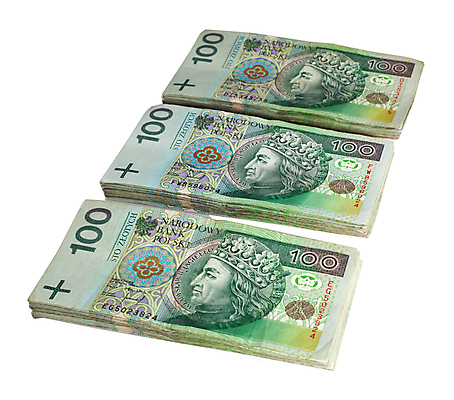 포토 JPG 해외이미지 유럽 지폐 돈 비즈니스 사람없음 가로 금융 쌓기 재산 파일 광택 제비 폴란드 빚 카운트 해외202004 해외포토 나라 모션 조류 경제 파일형식 이미지허브