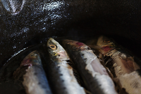 포토 JPG 해외이미지 종이 어류 사람 사람없음 검은색 저녁식사 어둠 희망 튀김 수확 죽음 신선 프라이팬 플랫 닫기 은색 가난 메뉴 에코 소금 정직 음식준비 조감도 짠맛 청렴 해외202004 해외포토 감정 음식 컬러 컨셉 농업 모션 주방용품 환경 식사 수중동물 맛 준비 파일형식 이미지허브