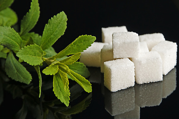 포토 JPG 해외이미지 식물 다이어트 재료 새로움 건강 사람없음 주방 최고 달콤 설탕 허브 당뇨병 저칼로리 지원 해외202004 해외포토 컨셉 맛 질병 파일형식 이미지허브