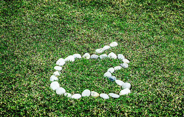 포토 JPG 해외이미지 식물 공원 백그라운드 컨셉 잎 밭 자연 벽지 잔디 사람없음 야외 가로 초록색 환경 정원 활발 흰색 신선 보호 사과 땅 배열 허브 심볼 에코 원예 질감 심플 각도 내추럴 고립 해외202004 해외포토 공공시설 컬러 농업 과일 취미 생태계 파일형식 이미지허브