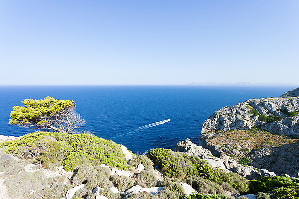 포토 JPG 해외이미지 나무 식물 유럽 바다 섬 여행 자연 하늘 휴가 산 항해 풍경 사람없음 물 여름 파란색 햇빛 맑음 개화 보트 황무지 스페인 지중해 언덕 엽서 암초 모터보트 빛망울 수평선 해외202004 해외포토 자연요소 계절 꽃 나라 컬러 배_교통 날씨 빛 태양 편지 생태계 파일형식 이미지허브