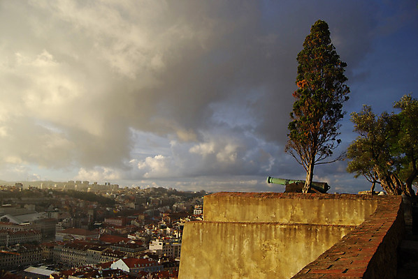 포토 JPG 해외이미지 나무 유럽 벽 사람없음 도시풍경 도시 포르투갈 리스본 해외202004 해외포토 식물 나라 풍경 파일형식 이미지허브