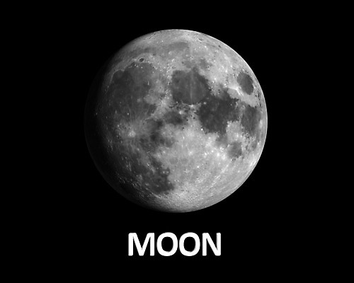 포토 JPG 해외이미지 별 과학 주택 사람없음 태양 3D 우주 행성 우주비행사 외계인 달 비교 코스모스 은하계 시스템 천문학 궤도 해외202004 해외포토 자연요소 교육 꽃 컨셉 건물 미확인물체 디지털합성 파일형식 이미지허브