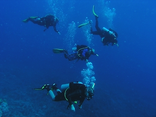 포토 JPG 해외이미지 전신 여러명 성인 수중 스노클링 잠수부 성인만 해외202004 해외포토 다수 사람 수상스포츠 전문직 파일형식 이미지허브