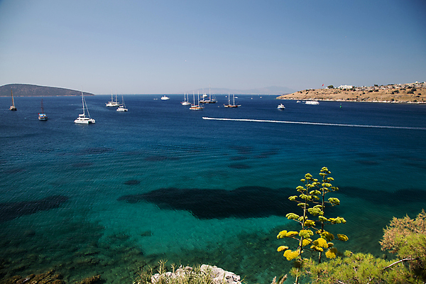 포토 JPG 해외이미지 바다 여행 건축양식 휴가 주택 항해 사람없음 건물 물 여름 파란색 도시풍경 항구 흰색 도시 만 지중해 언덕 방파제 포트 타운 칠면조 두더지 터키석 해외202004 튀르키예 해외포토 자연요소 건축물 계절 공공시설 건축 아시아 컬러 배_교통 교통시설 조류 풍경 보석 파일형식 이미지허브