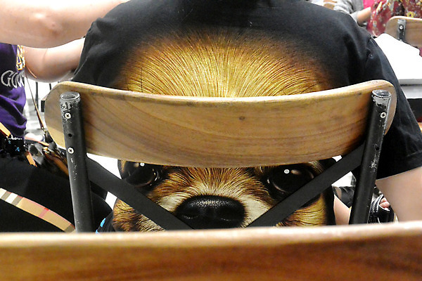 포토 JPG 해외이미지 모양 동물 디자인 응시 얼굴 여행 백그라운드 셔츠 티셔츠 신체 일러스트 반바지 추상 창조 미술 미소 성인 사람없음 그래픽 장식 반려동물 숫자 머리 유행 3D 금속 개 혼합 만화 피부 그림 만들기 윤곽 송곳니 고립 스타일 해외202004 해외포토 문자 시선 상의 무늬 바지 포유류 모션 재질 문화예술 표정 사람 신체부위 치아 디지털합성 파일형식 이미지허브