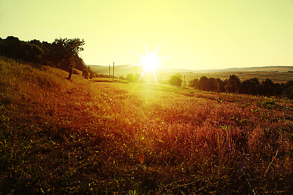 포토 JPG 해외이미지 공원 백그라운드 밭 자연 하늘 아침 따뜻함 풍경 사람없음 여름 빛 태양 마을 일출 일몰 가을 볏짚 저녁 향수 에코 친환경 보호구역 수평선 해외202004 해외포토 주간 자연요소 계절 공공시설 농업 노을 환경 화장품 짚 야간 생태계 구역 파일형식 이미지허브