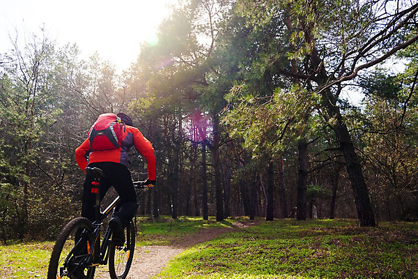 포토 JPG 해외이미지 라이프스타일 남자 산 한명 안전 풍경 성인 야외 태양 자전거 승차 숲 헬멧 라이더 성인남자한명만 해외202004 해외포토 자연요소 1 모션 사람 생활 바이크 보호장비 남자한명만 성인남자만 파일형식 이미지허브