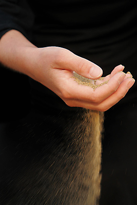 포토 JPG 해외이미지 손 모래 컨셉 돈 부분 손가락 휴가 손바닥 사람없음 달리기 터치 가을 잡기 시간 재산 붓기 좌절 갈증 모래시계 기회 문제 가치 통과 종료 넘어짐 분 순간 적자 트러블 해외202004 해외포토 계절 감정 시계 모션 신체부위 금융 파일형식 이미지허브