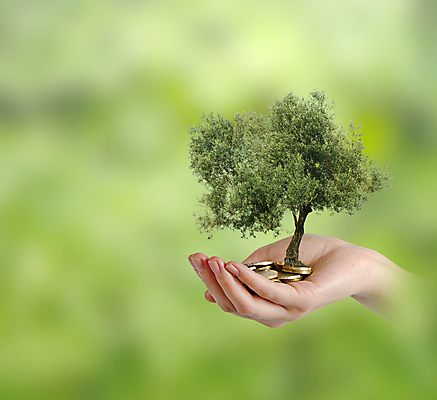포토 JPG 해외이미지 나무 식물 손 여자 컨셉 돈 농업 자연 손바닥 선물 사람 사람없음 초록색 환경 동전 유로 성장 재산 닫기 생태계 올리브 팔 개발 생태학 심기 해외202004 해외포토 교육 열매 산업 컬러 모션 신체부위 금융 파일형식 이미지허브