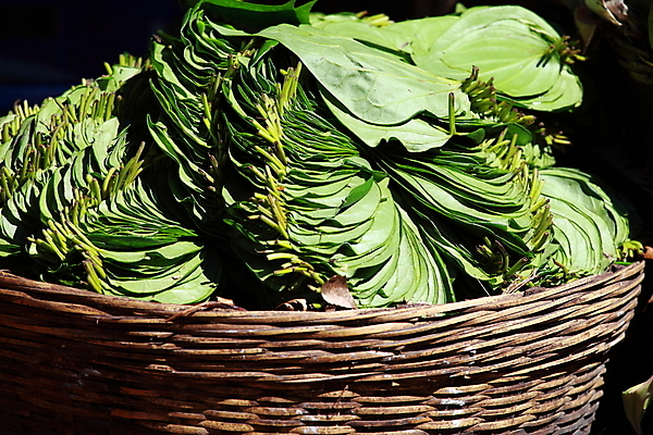 포토 JPG 해외이미지 전통 꽃잎 꽃 아시아 종교 문화 잎 오렌지 인종 사람없음 야외 초록색 노란색 바구니 상점 축제 기도 사찰 행운 영혼 시장 인도인 심볼 만들기 신성 네팔 아로마테라피 힌두교 해외202004 해외포토 외국인 식물 나라 컬러 컨셉 과일 종교건축 모션 사람 동양인 테라피 파일형식 이미지허브