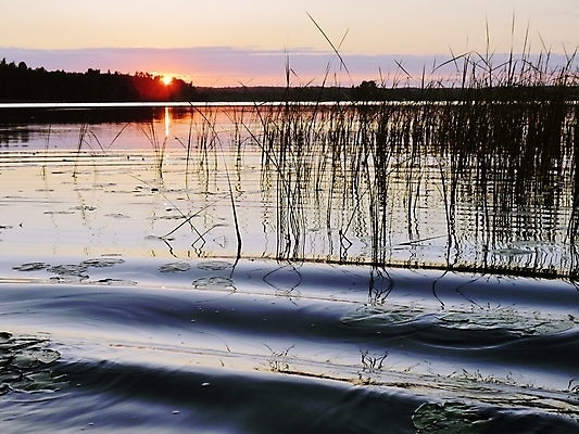 포토 JPG 해외이미지 나무 구름 밭 자연 지팡이 하늘 날씨 휴식 갈대 풍경 사람없음 파란색 태양 어둠 침묵 일몰 봄 시골 저녁 숲 즐거움 넘어짐 생태학 해외202004 해외포토 자연요소 식물 계절 교육 감정 컬러 컨셉 농업 모션 노을 소리 야간 생태계 파일형식 이미지허브